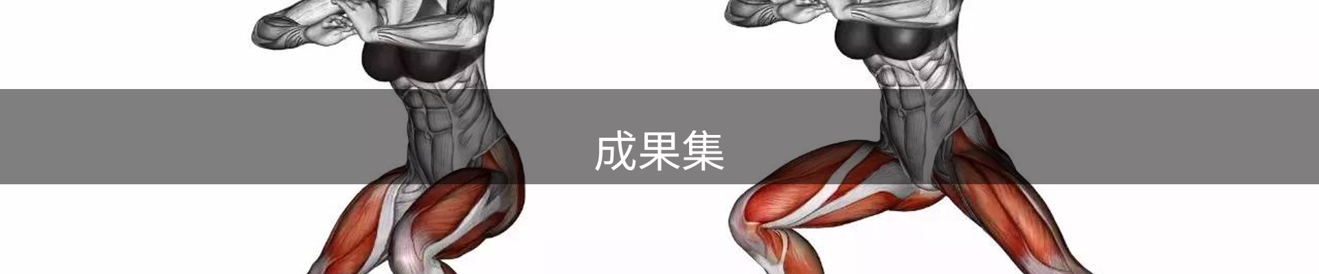 成果集